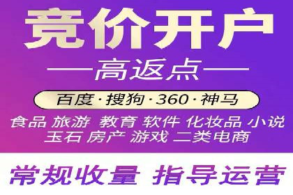 百度竞价广告投放数据分析